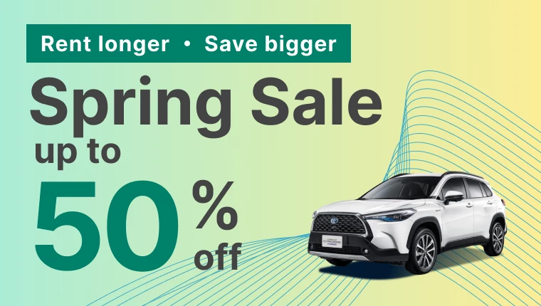 about 【Deals】Spring Promotion 50% Off